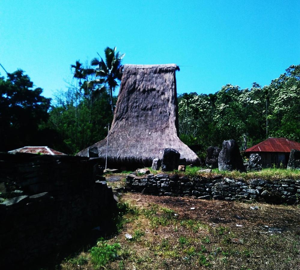 מלון קלימוטו Palm Bungalow מראה חיצוני תמונה